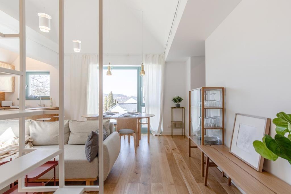 Apartament Olarilor *